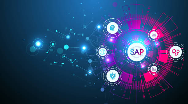 sap application maintenance services