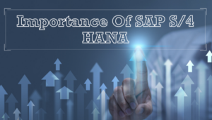 Importance-Of-SAP-S4-HANA